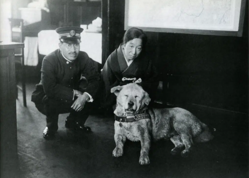Hachiko chờ ông Ueno tại ga Shibuya năm 1933